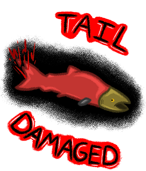 Image of Tail Damage Pop-Up