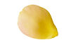 yellow-rose-petals-isolated-white-background-with-clipping-path_293060-14397-1395898456.jp