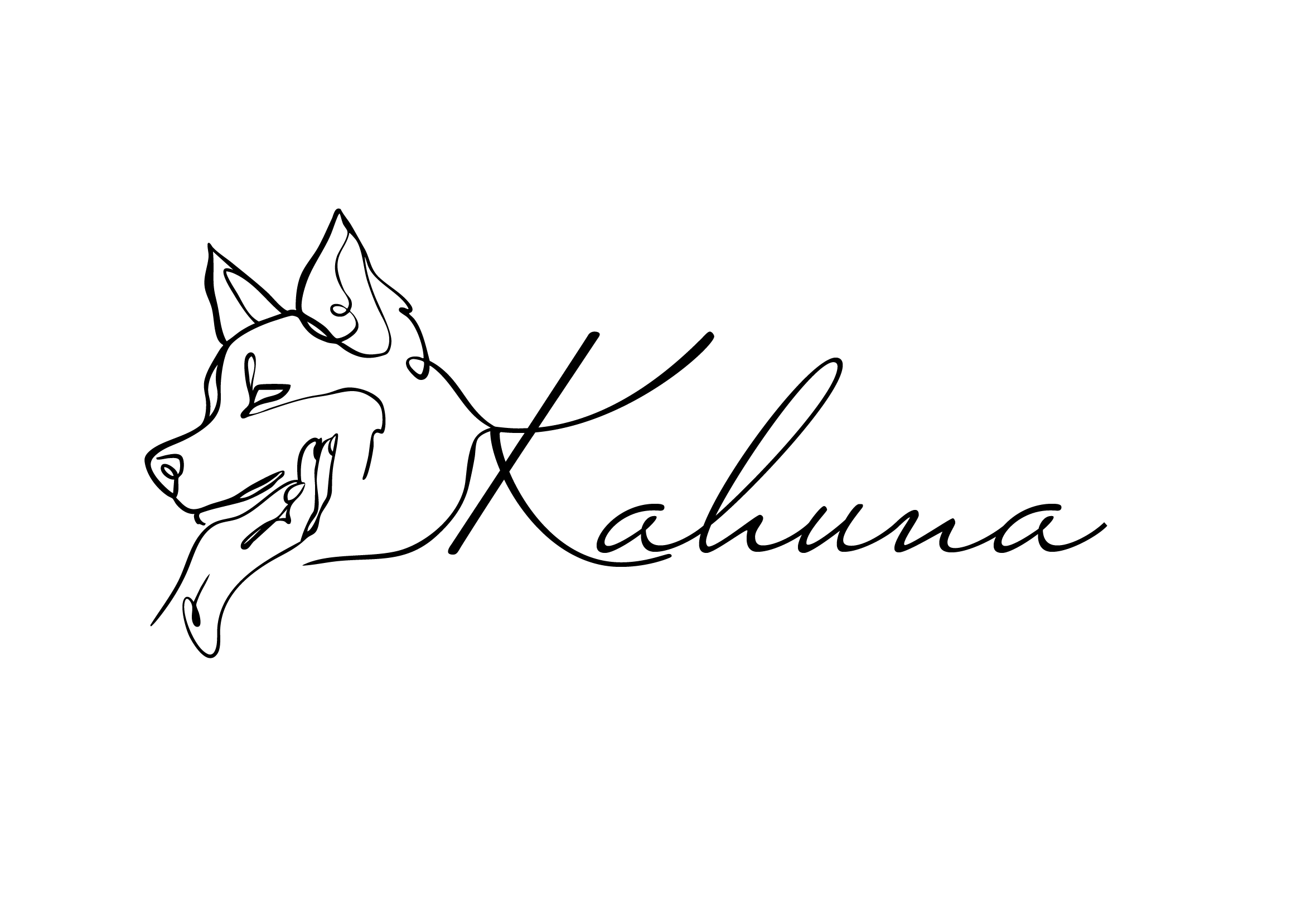 Logo_kahuna-01.png