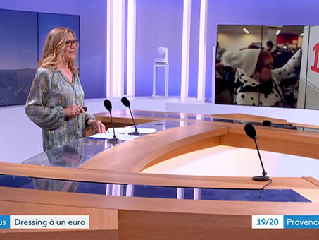 Beau reportage de la journée du tri sur France 3