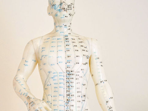 Kjemiske prosesser og elektromagnetiske svingninger i kroppen...
