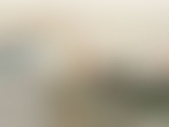 Informasjon- og reguleringsmedisin (bioresonans)