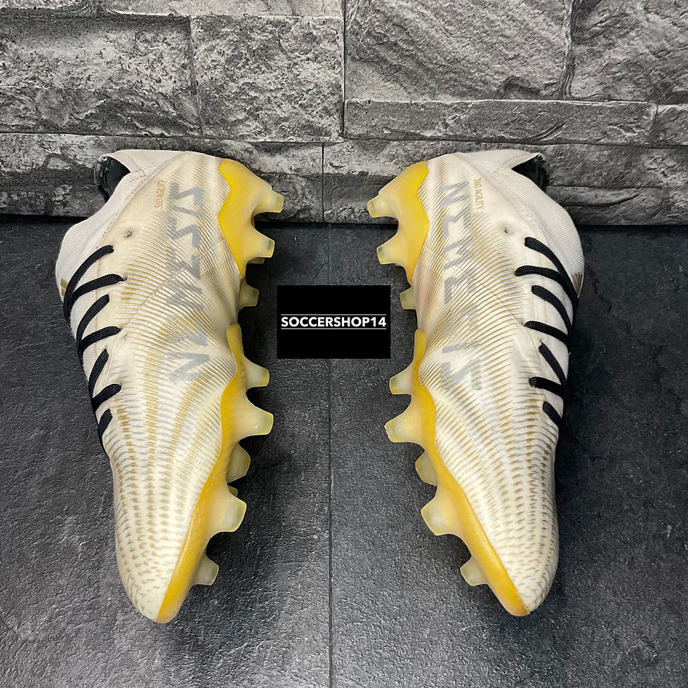 Thumbnail: Adidas Nemeziz 19.1 FG Messi white/black/gold/silver EH0555