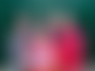 Компания ТИКА передала в дар планшеты многодетным семьям. В нашей гимназии получили планшеты 2 семьи