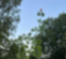 IMG_1376.jpg