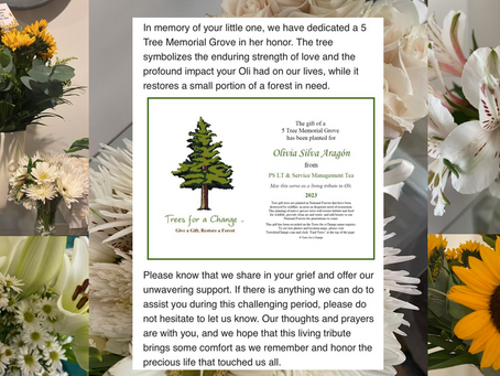 Surrender to the journey