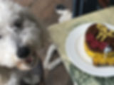 IMG_1205.jpeg