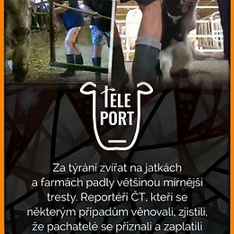 Teleport (26. týden)