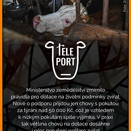 Teleport (15. týden)