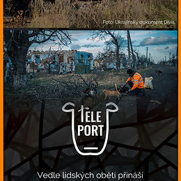 Teleport (11. týden)