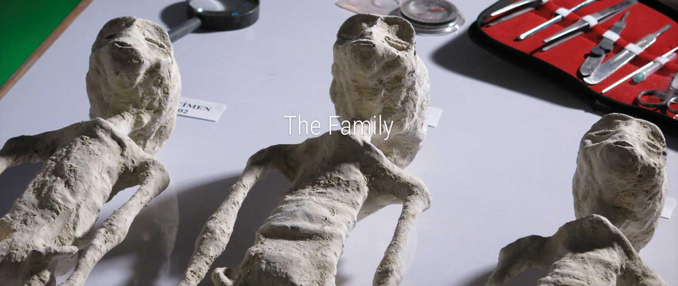 Screen Shot 2021-12-05 at 8.37.33 PM.png