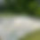 Thumbnail: Snow Package
