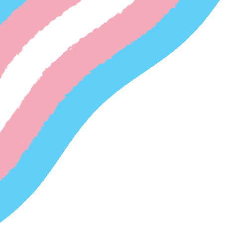 trans.gif