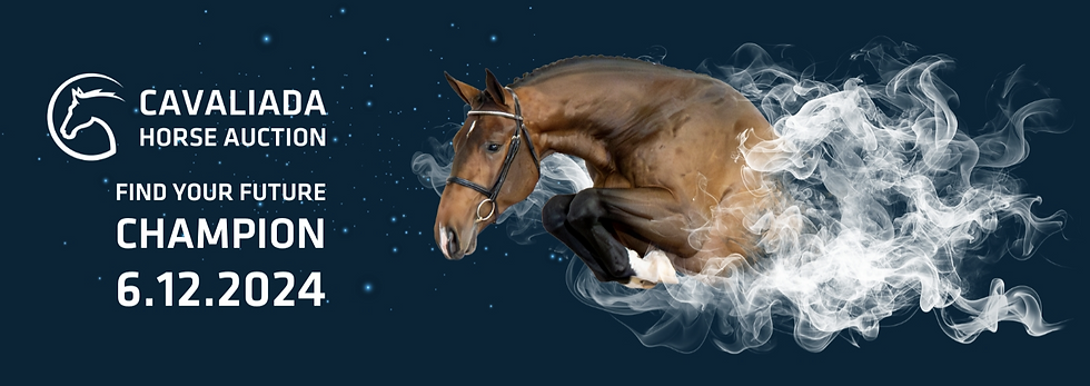 Schermafbeelding 2025-12-11 101506.png