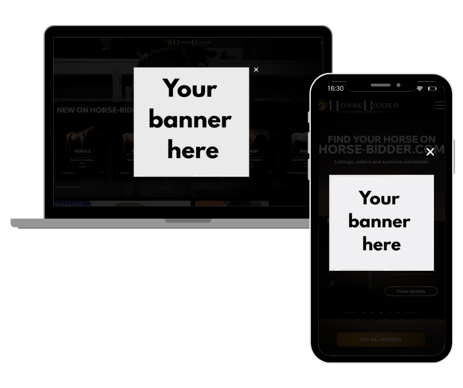 PopUp Banner.png