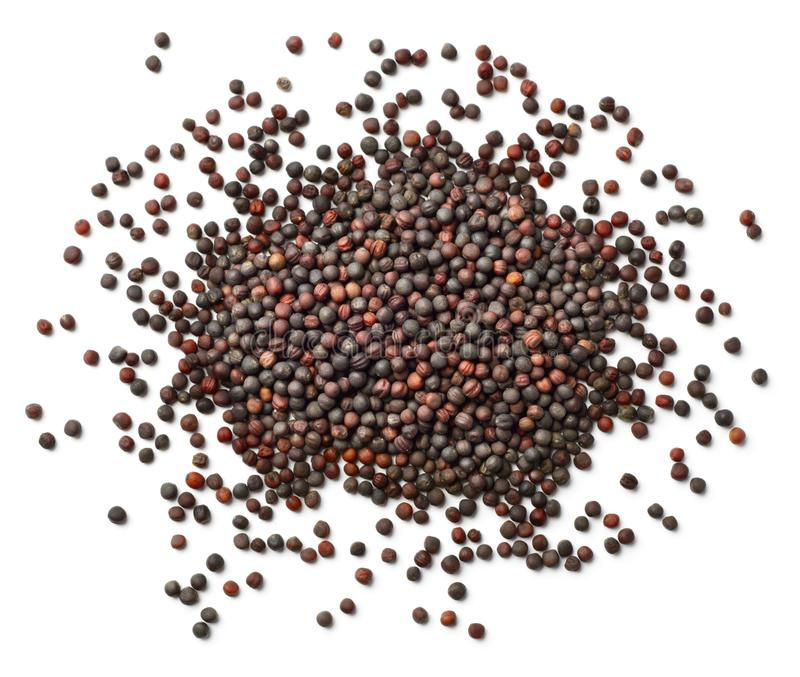 dried-canola-seeds-white-top-view-background-113536340.jpg