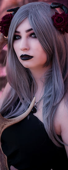IMG_0335 v.jpg