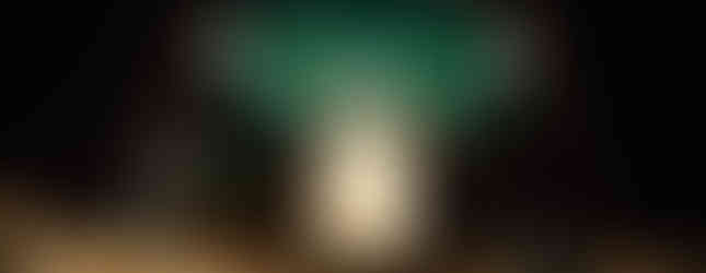 Portrait macro frontal d’un Dicronorhina derbyana derbyana, cétoine vert métallique exposée par Didippus aux Reptiliarras 2025. La photo met en avant les reflets irisés de la carapace, les textures du pronotum et la posture robuste du coléoptère. Réalisée par le studio Colombe Photographie, photographe animalier et photographe événementiel en région parisienne, cette image met en lumière les espèces exotiques et les détails naturalistes typiques du salon.