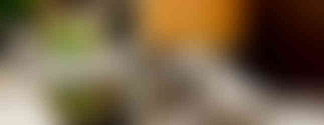 Fontaines à boissons et décoration végétale du buffet de mariage au Domaine des Pierres Dorées à Ternand. Photo d’ambiance par Colombe Photographie, photographe de mariage à Lyon.