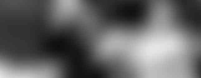 Photo en noir et blanc des mariés riant ensemble lors de leur mariage civil à la mairie de Rillieux-la-Pape. Instant spontané capturé par Colombe Photographie, photographe de mariage à Lyon et en région parisienne.