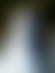 Le marié Omer dépose un baiser sur le front de Syrine, sa femme, lors d’une séance photo de couple après leur mariage civil, dans un moment empreint d’amour et de complicité.