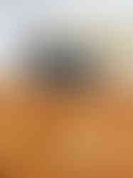 Plateau de navettes briochées garnies à la rillette d’oie, préparées par le traiteur C’Pepita lors d’un événement en Île-de-France. Photographe culinaire et événementiel à Gentilly, proche de Paris, je valorise le savoir-faire des traiteurs et artisans à travers des reportages photo. Cette image met en avant l’offre gourmande et raffinée de C’Pepita, traiteur spécialisé dans les cocktails, buffets, repas de fête et réceptions privées ou professionnelles en région parisienne.