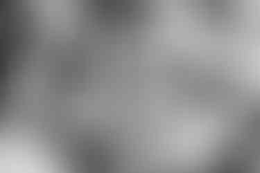 Photographie culinaire en noir et blanc réalisée par Colombe Photographie à Paris. Gros plan sur une entrée servie au restaurant.