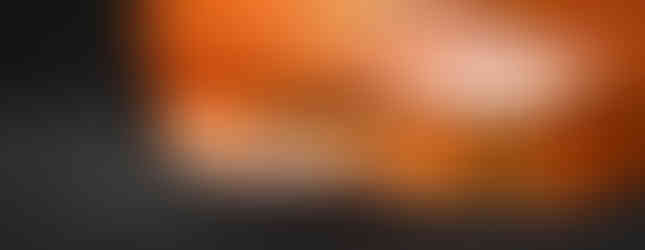 Photo studio d’un Oreocryptophis porphyraceus pulchra (couleuvre porphyre) pour l’élevage Jurassic NAC. Gros plan sur la tête révélant les motifs rouges et noirs caractéristiques de cette espèce asiatique. Prise de vue macro professionnelle réalisée dans notre studio à Gentilly, spécialisé en reptiles et serpents pour éleveurs, boutiques et passionnés en région parisienne.