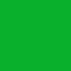 Fond vert d’incrustation (fond vert chroma key) utilisé en studio photo chez Colombe Photographie à Gentilly, en région parisienne. Idéal pour photo et vidéo avec détourage, effets spéciaux ou remplacement d’arrière-plan. Studio photo en Île-de-France équipé pour projets créatifs et productions audiovisuelles.