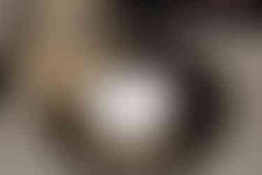 Les alliances du mariage civil de Susana et Riadh, présentées dans un écrin en forme de cœur lors de la cérémonie à la mairie de Villemomble. Photo réalisée par Colombe Photographie, studio basé à Gentilly et spécialisé dans les mariages civils en Île-de-France. Cette image met en valeur les détails symboliques et élégants des unions célébrées en région parisienne.