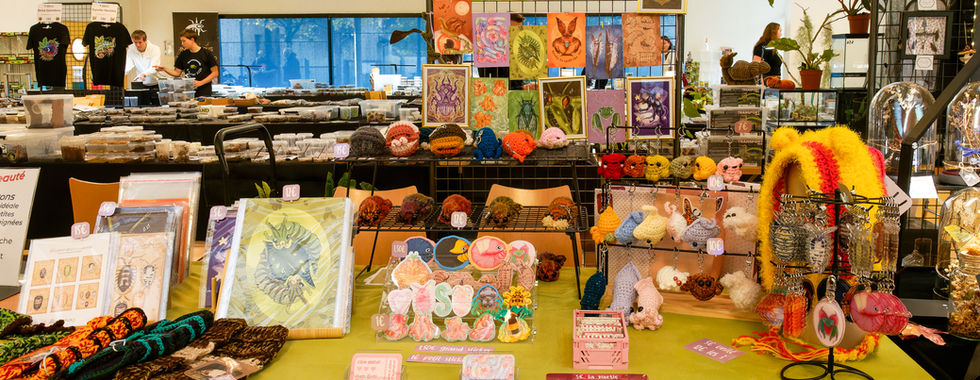 Photographie d’un stand artisanal lors de la Bourse aux insectes du 26 octobre 2025 à la salle des fêtes de la Tremblaye à Bois-d’Arcy. On y voit des illustrations naturalistes, des créations textiles colorées, des badges, des objets décoratifs et divers articles inspirés du monde des insectes, disposés sur une grande table verte et des grilles d’exposition. À l’arrière-plan, d’autres exposants présentent leurs boîtes d’élevage et collections entomologiques. Image réalisée dans le cadre du reportage du studio Colombe Photographie, photographe événementiel basé à Gentilly et intervenant dans toute la région parisienne, spécialisé dans la couverture de salons, expositions, conférences et événements associatifs.