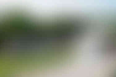 Photo du mariage de Malika et Richard à Guyancourt : les mariés font leur entrée sous les acclamations des invités, dans un cadre verdoyant et festif. Reportage photo de Colombe Delons, photographe de mariage en région parisienne.