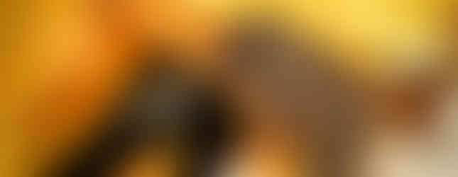 Portrait macro d’un Theloderma leporosum réalisé en studio pour l’élevage Reptilis Shop. Vue détaillée de la peau granuleuse et de l’œil caractéristique de cette espèce arboricole. Photographie professionnelle réalisée par notre studio photo spécialisé en reptiles et amphibiens, basé à Gentilly et en région parisienne, idéal pour valoriser élevages, boutiques NAC et expositions terrariophiles.