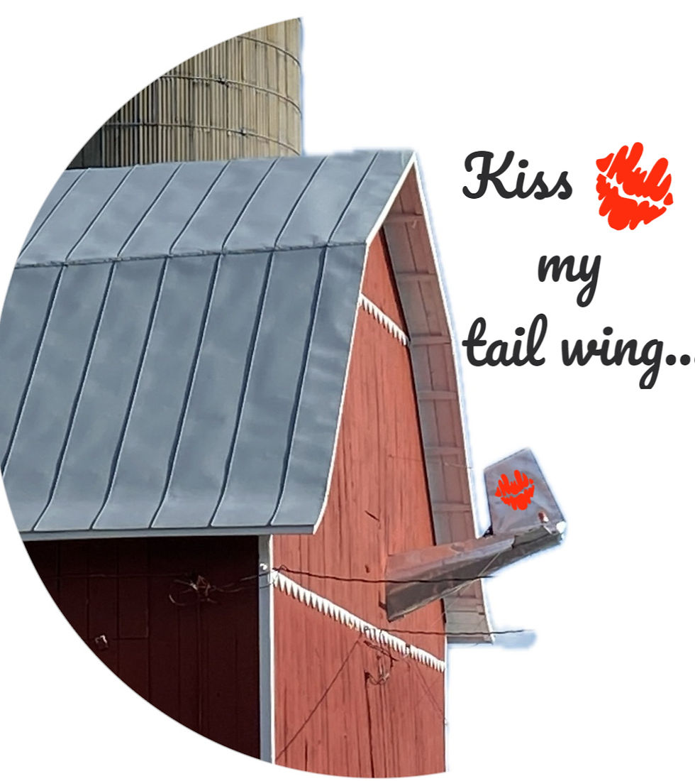 Tail wing section added to barn for fun aesthetics