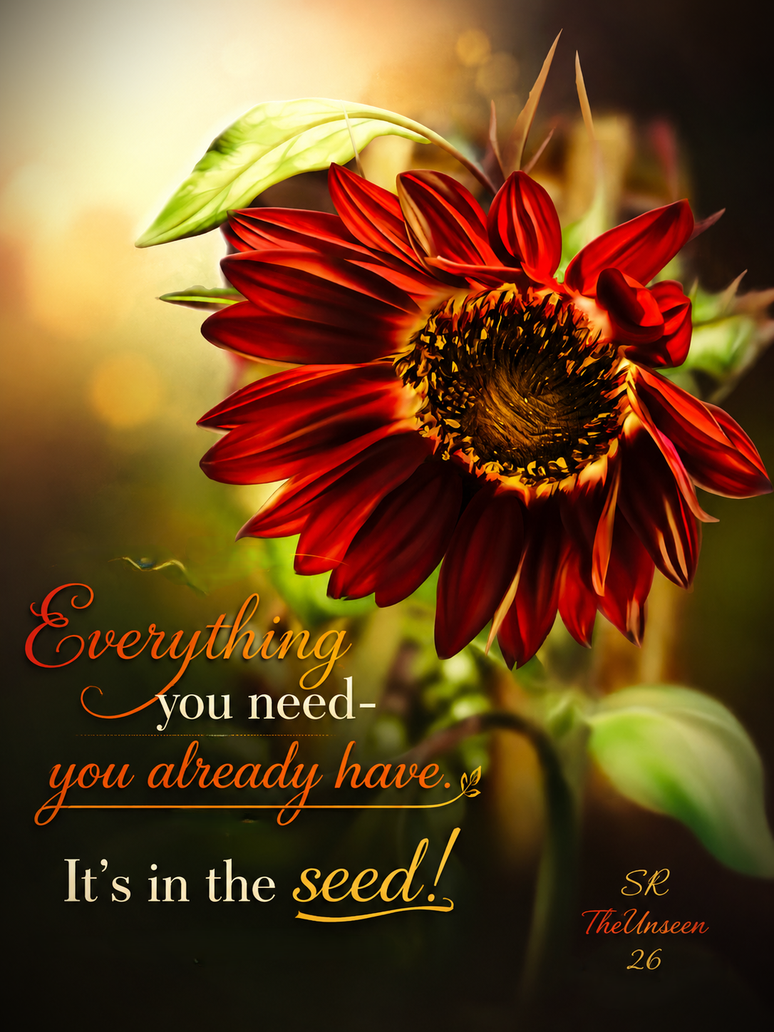 The Seed