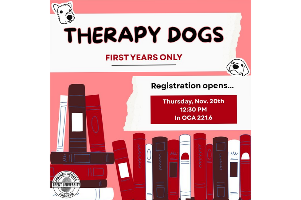 Therapy Dogs - First Year