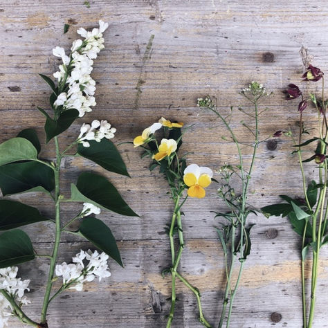 När kylan dröjer sig kvar, vart är alla perenner, struktur och en bunt. 
