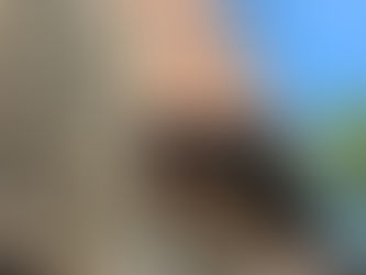 Project of the Week - 6/21