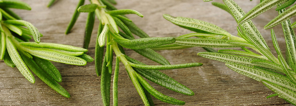 ローズマリーの小枝