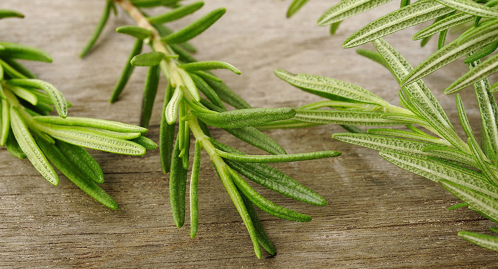 Rosemary Sprig