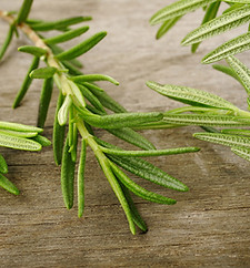 Rosemary Sprig