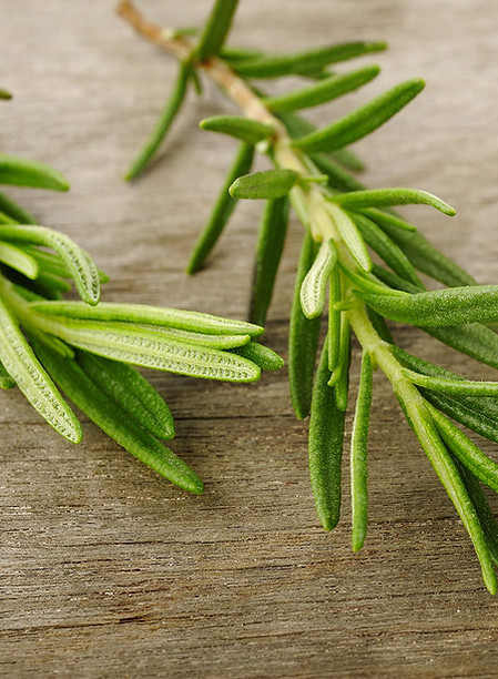 Rosemary Sprig