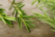 freh rosemary