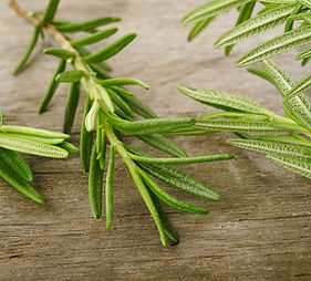 Rosemary Sprig