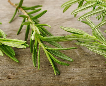 Fresh Rosemary Sprigs