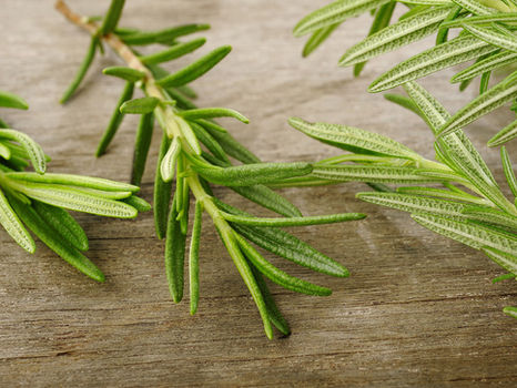 Herbology 101: Rosemary