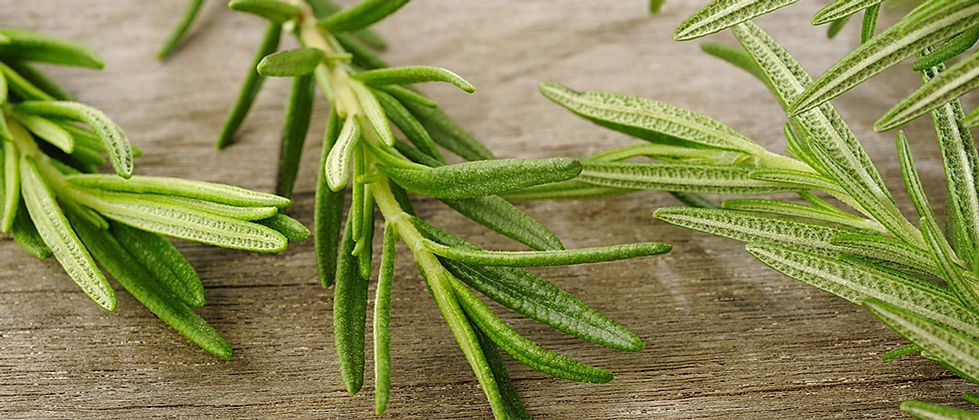 Rosemary