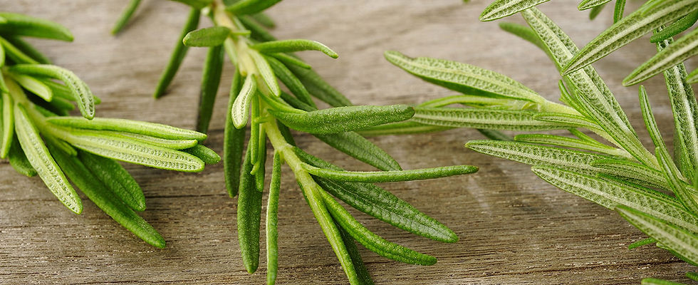 Rosemary Sprig