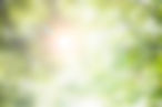 reflexo-de-lente-solar-cenica-brilhando-atraves-de-arvores-fotografia-da-natureza_53876-10