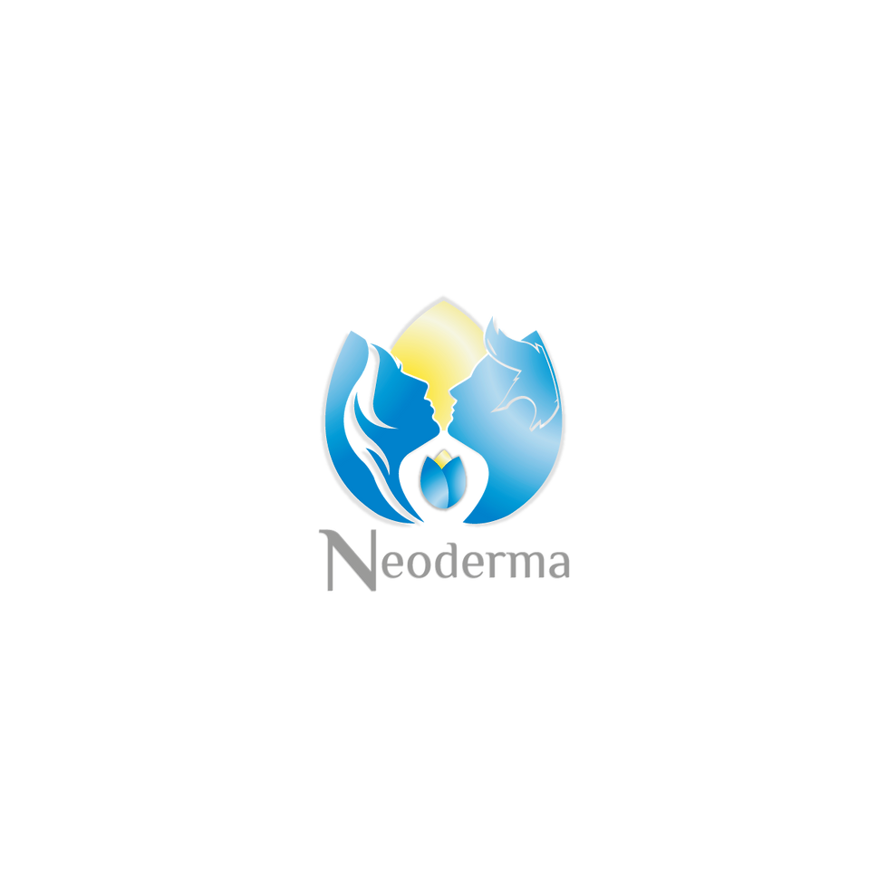 agencia de marketing